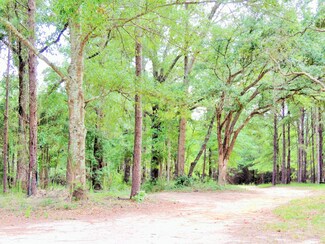 421 Sherlock Herring Rd, Purvis, MS 39475