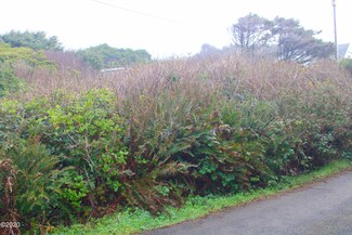 TL 1300 NW North Ave, Yachats, OR 97498