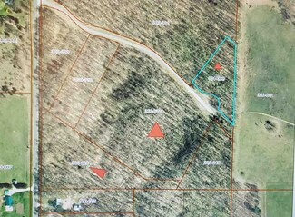 16 acres Foxboro Rd Unit 3,4,5,6,+ 5 acres 16, Center Township, MI 49769