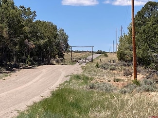 Lot 2 (TBD) County Road 22b, Montrose, CO 81403