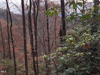 0 Bear Cove Cir Unit 10081397, Bryson City, NC 28713