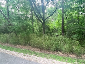 18 & 14 Clearwater Cir, Coldspring, TX 77331