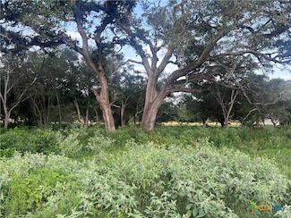000 Savannah Ranch Rd, Inez, TX 77968