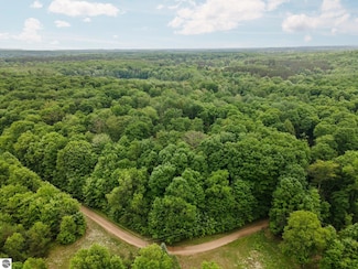 00 Woodland Trail, Almira Township, MI 49664
