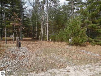 0 Cayuga Trail 0 Saginaw Unit 35/36 1829782, National City, MI 48748