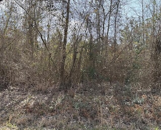 0 Doctor Brown Rd, Deridder, LA 70634