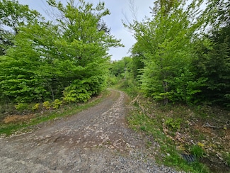 Lot # 6S Turcotte Dr, Naples, ME 04055