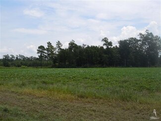 1006 Will Inman Rd, Tabor City, NC 28463