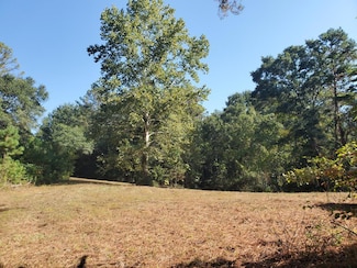 0 Martha George Hall Dr, Troy, AL 36081