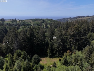 20452 Whaleshead Rd, Brookings, OR 97415