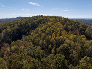0 Shady Grove Rd Unit 22016549, Sunset, SC 29685