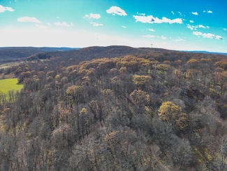 0 E Mountain Rd, Forest City, PA 18421