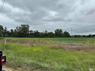 0 Martinsville Rd Unit 50185884, New Boston, MI 48164