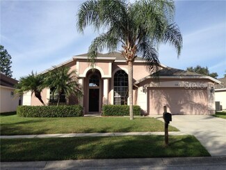 18012 Palm Breeze Dr, Tampa, FL 33647
