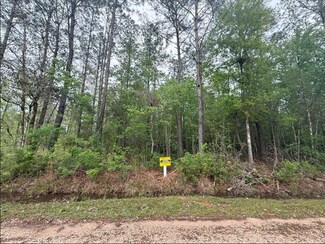 0 Par St Unit 2499045, Abita Springs, LA 70420