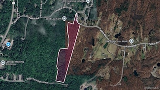 36 Fallkill Rd, Hyde Park, NY 12538