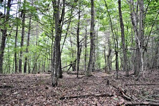 TBD 153.054 ac Chestnut Ridge Rd, Riner, VA 24149