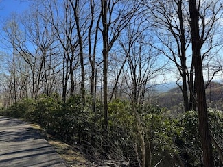 TBD Buck Hollar Rd, Hillsville, VA 24343