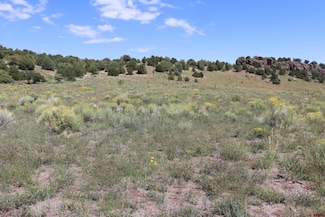 490 Raton Creek, Monte Vista, CO 81144