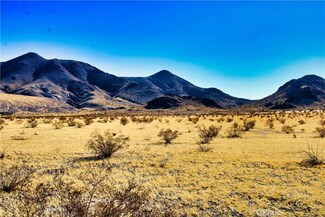 75777 Riverside Rd, Newberry Springs, CA 92365