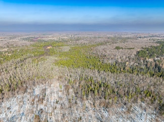 Off 8183 Forest Rd, Marenisco, MI 49947
