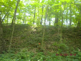 2250 E St, Tiskilwa, IL 61368