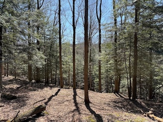 00 Greytown Hills Rd Unit LotWP002, Cambridge Springs, PA 16403
