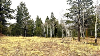 001 Russell Gulch Rd, Central City, CO 80427