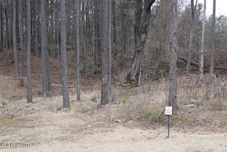 137 Pine Acres Dr, Byhalia, MS 38611