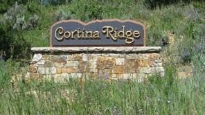 194 Solomons Ln, Silverthorne, CO 80498