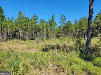 0 Tuton Rd, Baconton, GA 31716