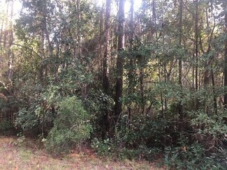102 Cypress Ct, Georgetown, FL 32139