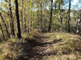 0 Perry Creek Rd Unit 22047673, Satartia, MS 39162