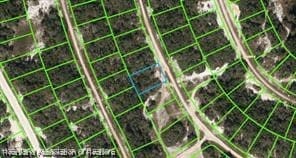 234 Rhythm Dr, Lake Placid, FL 33852