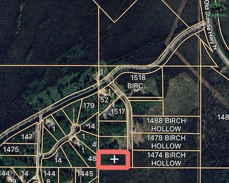 LOT 5 Birch Hollow Ct, Farmers Loop, AK 99712