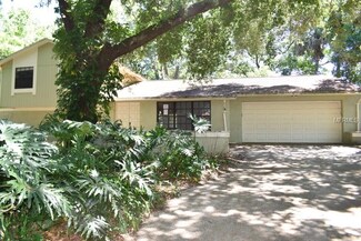 409 Bryan Oak Ave, Brandon, FL 33511