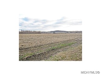 0 37 84 Ac Lot 2- Thompson Rd Unit 1501257, Salisbury Center, NY 13454