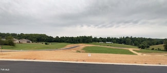 Lot 13 Larkins Farm Dr, Jonesborough, TN 37659