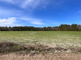 6005 Old Salkehatchie Rd Unit Parcel A, Early Branch, SC 29916