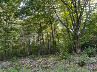 367 Maple Rd, Atkinson, ME 04426