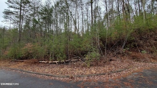Lot 16 Peace Ln, Sevierville, TN 37876