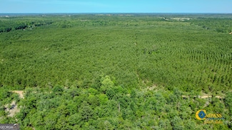 0 Montgomery Rd, Mauk, GA 31058