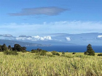 2450 Baldwin Ave Unit Lot 8 unit a&b, Makawao, HI 96768