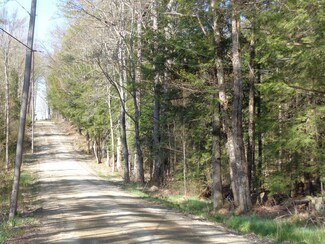 Lot 5 Wiggin Rd, Danbury, NH 03230