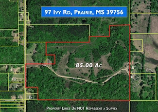 97 Ivy Rd, Prairie, MS 39756