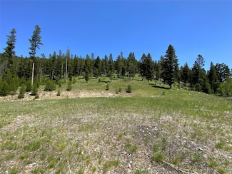 TBD Lagger Gulch Rd, Anaconda, MT 59711