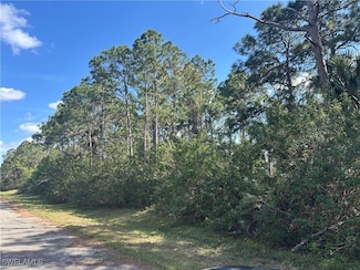 960 Quinton Drive Quinton Dr, Labelle, FL 33935