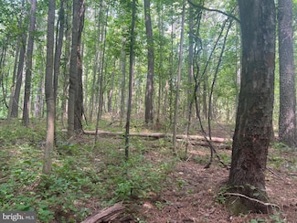 0 Thornton Gap Church Rd, Sperryville, VA 22740