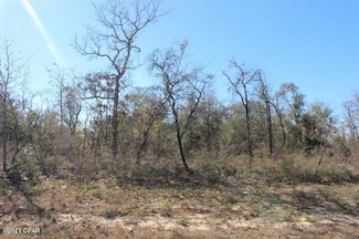 0 Dumont Ave Unit Lot 7 767241, Chipley, FL 32428
