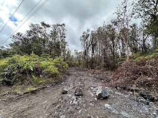 11-2023 Alii Wao Rd, Volcano, HI 96785
